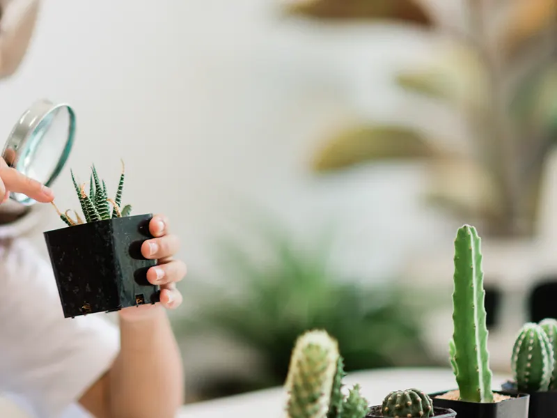 equipos seguros y efectivos