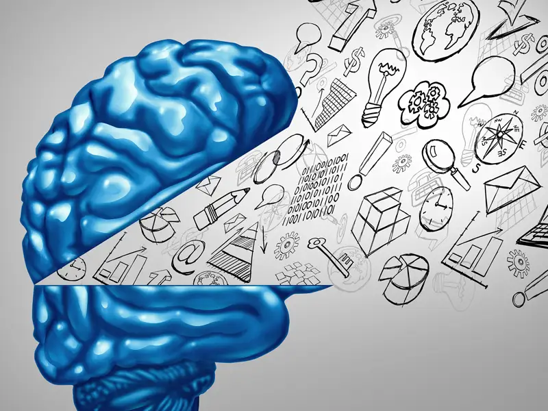 imagens formacion desarrollo del pensamiento